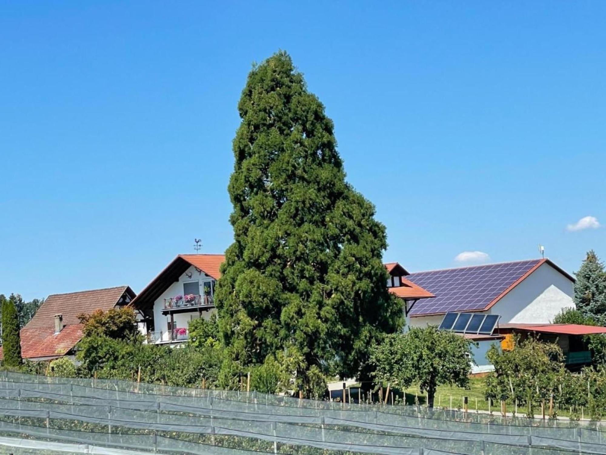Bergchalet Mirabell - Hofgut FDH Exterior foto