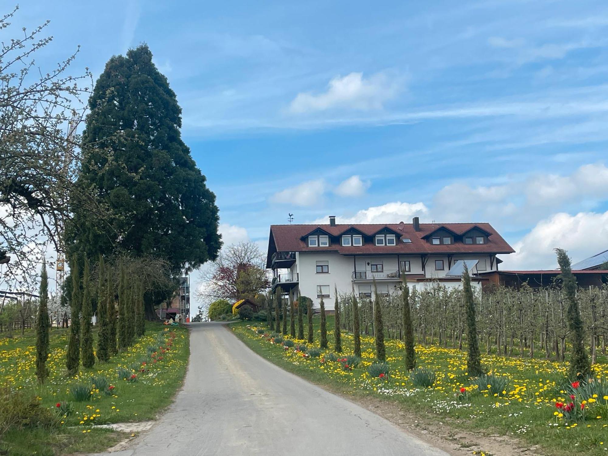 Bergchalet Mirabell - Hofgut FDH Exterior foto